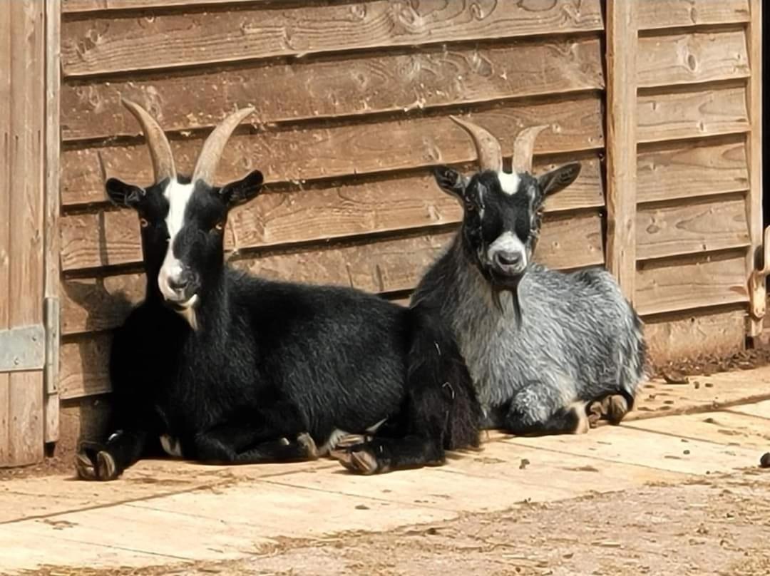 ホテル Badgers Burrow Colwall エクステリア 写真